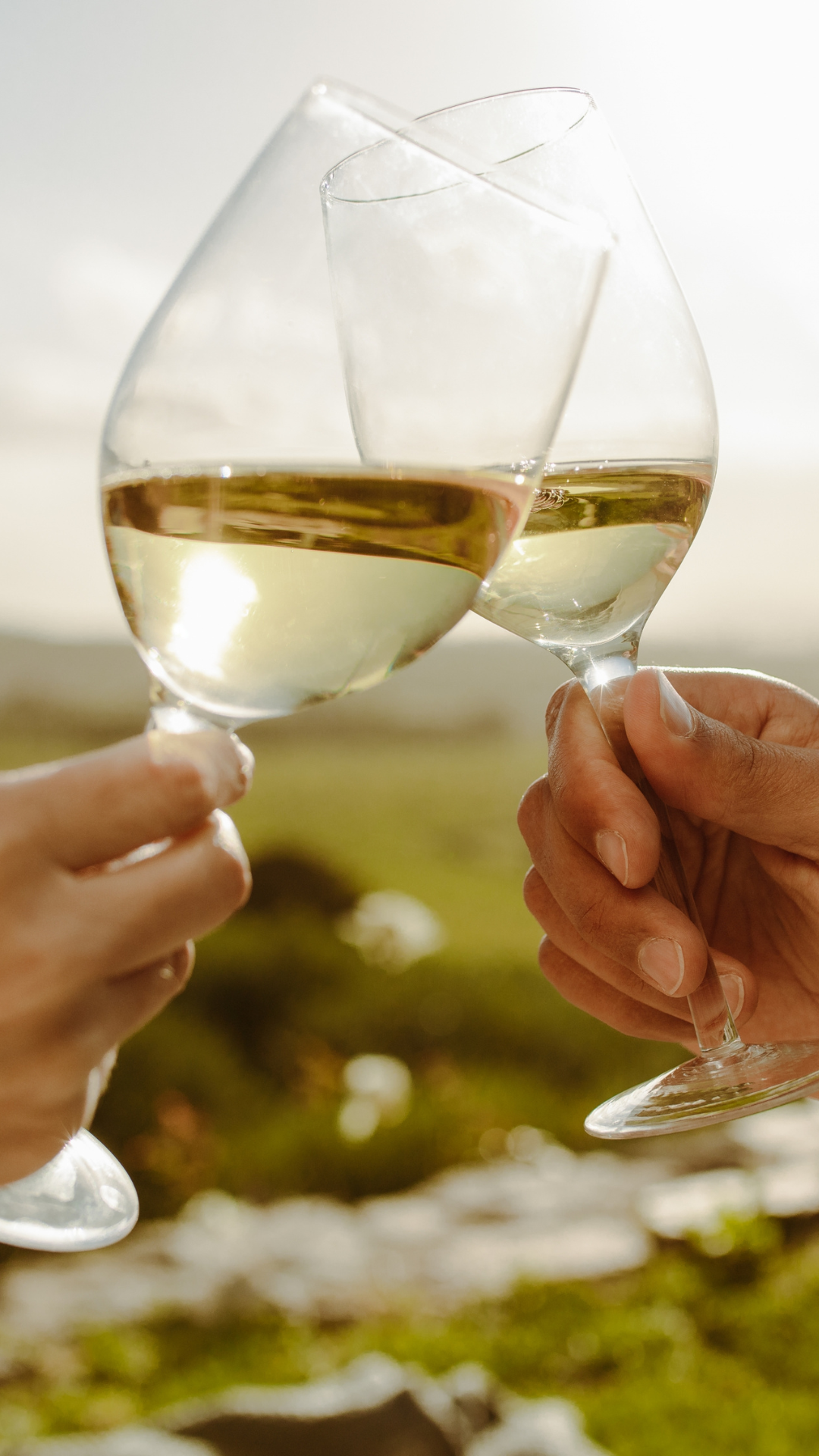 two people's hands holding wine glasses and clinking them together in cheers