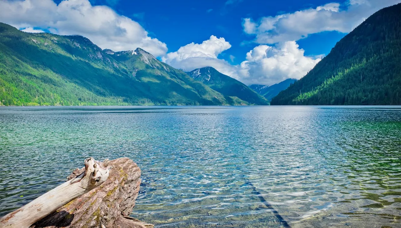 Chilliwack lake as the shoreside looking out onto the water with the mountain range in the background on the far edge of the shore.