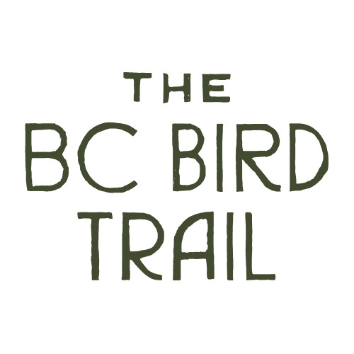 BC Bird Trail logo or icon